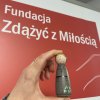 Pionki w Fundacji Zdążyć z Miłością
